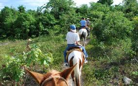 Horseback Ride Through the Jungle and Beach Break
